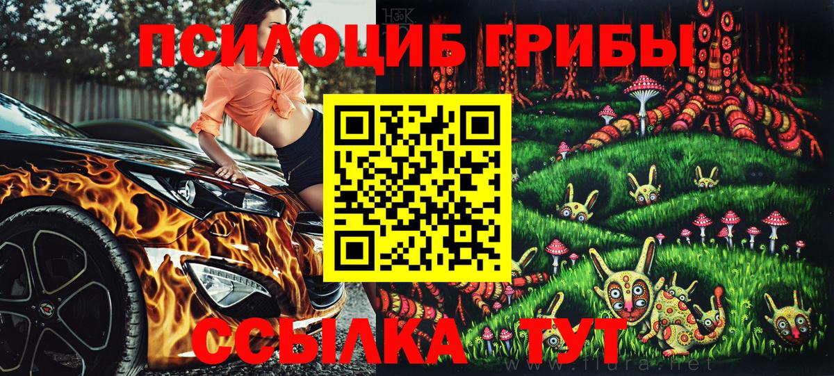 Псилоцибиновые грибы GOLDEN TEACHER Черемхово