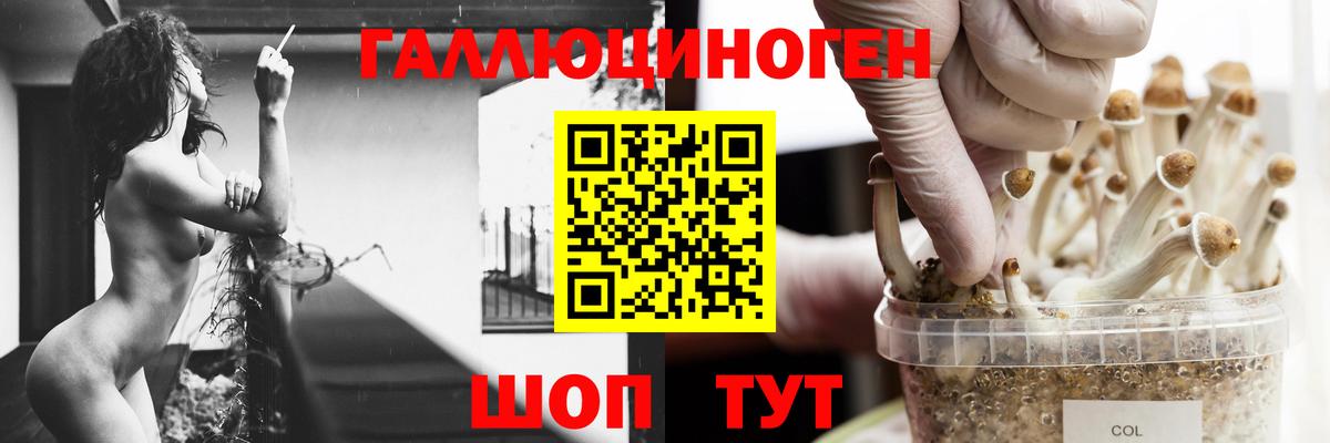 Галлюциногенные грибы ЛСД  закладки  Вход с VPN  Черемхово  Галлюциногенные грибы ЛСД 